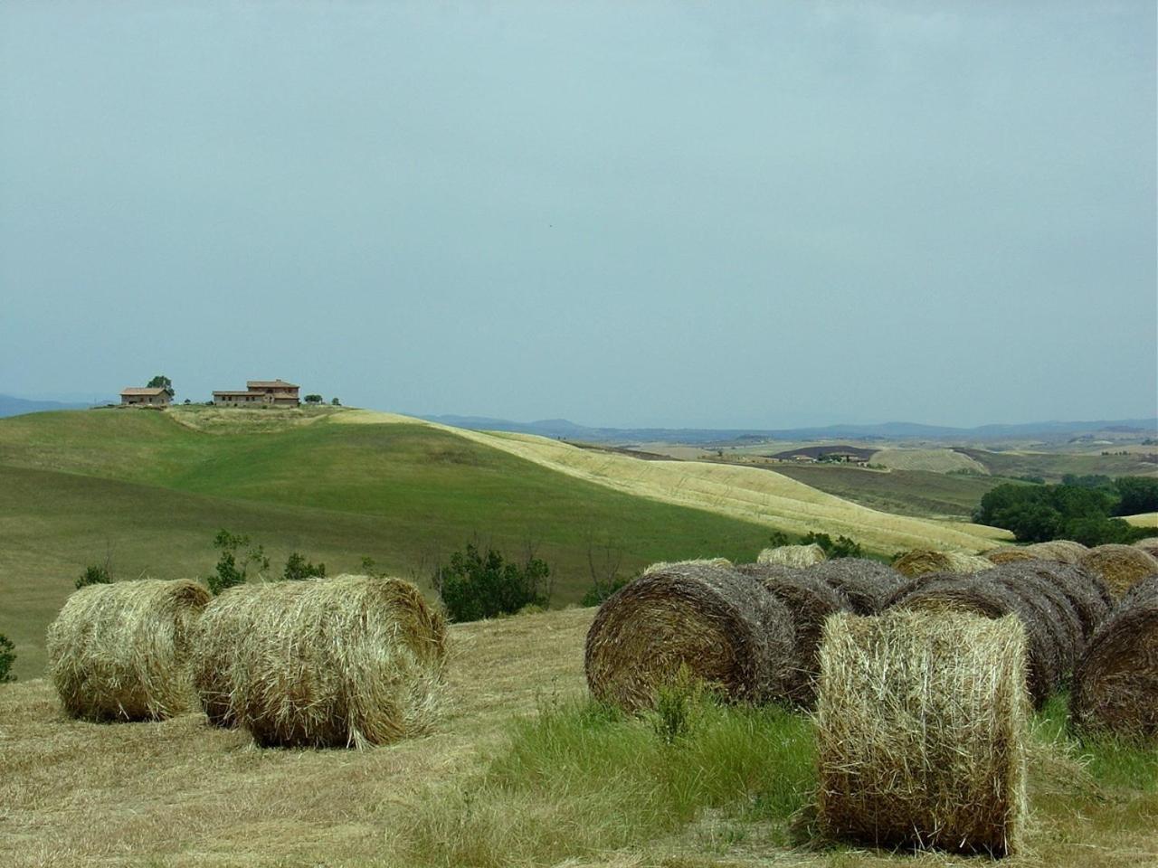 Tenuta Di Corsano Monteroni dʼArbia Eksteriør bilde