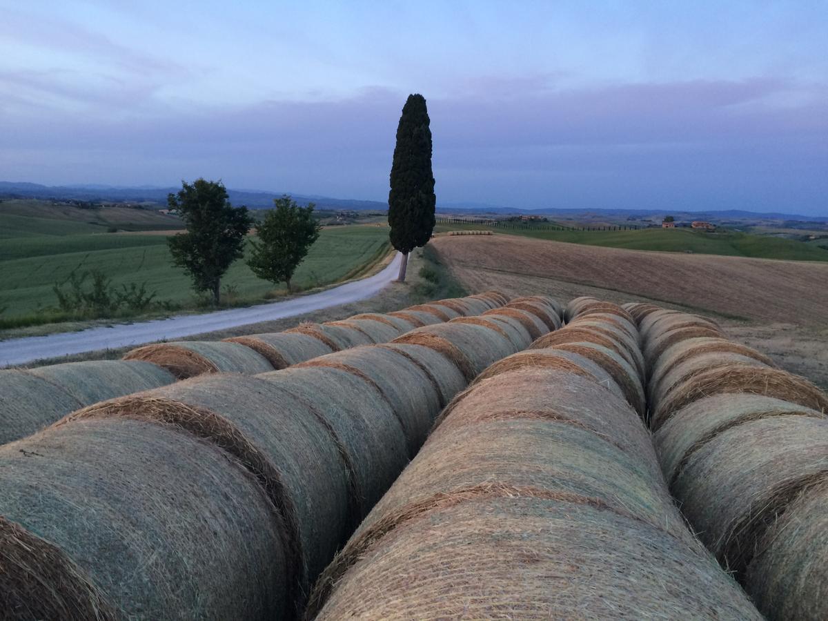 Tenuta Di Corsano Monteroni dʼArbia Eksteriør bilde
